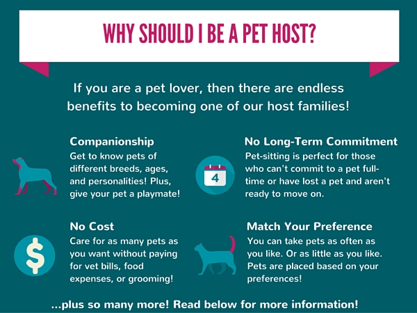 Become a Pet Sitter – Pets Are Inn